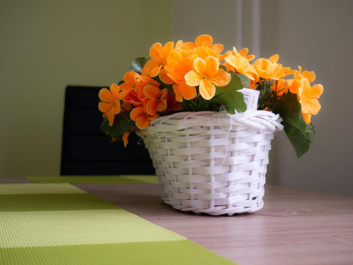 Pod Ledovcem Apartment