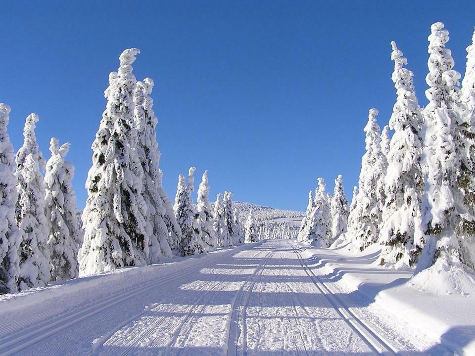 Pod Ledovcem *